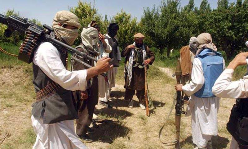 Key member of Pakistani Taliban killed in Afghanistan