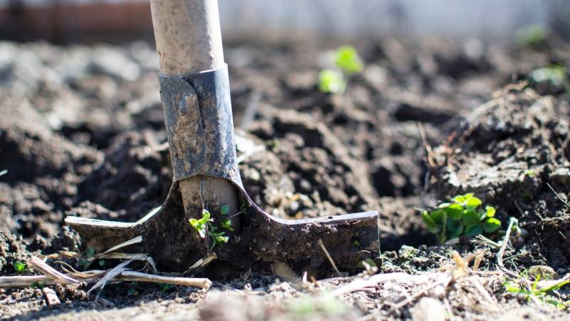 Israel ends ban on Palestinian farm exports, resolving trade spat