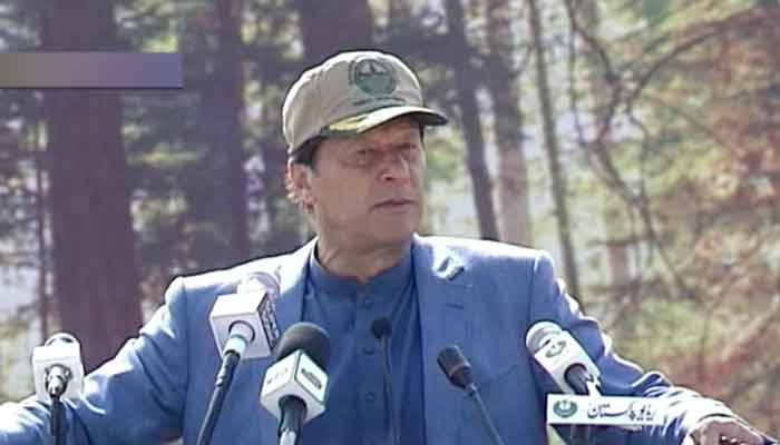 PM warns of action against timber, forest mafia