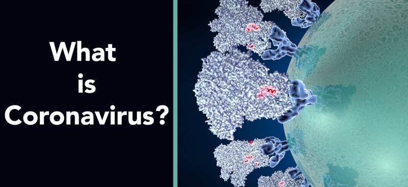 Coronavirus: what we know and what we don't