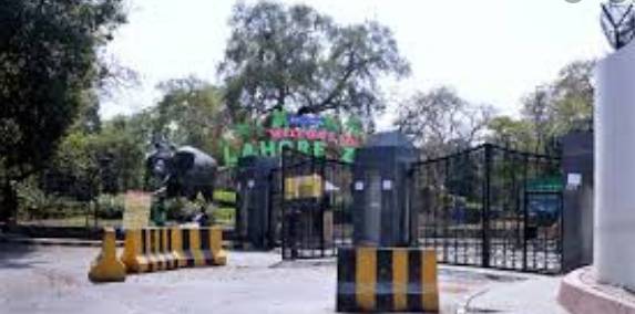 Even doctors, nurses not spared as lockdown in Lahore tightened