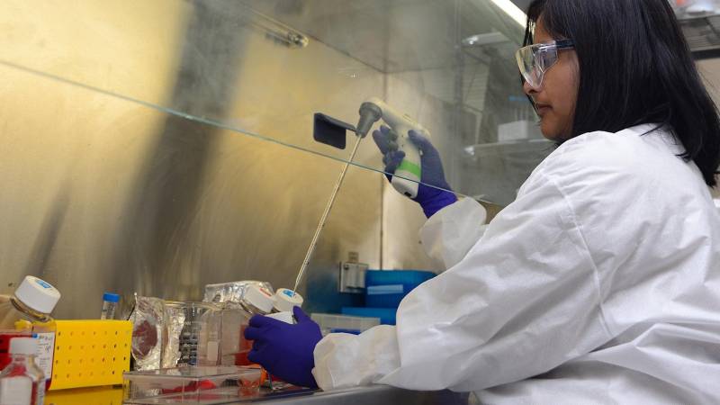China reports progress in swine fever vaccine trials