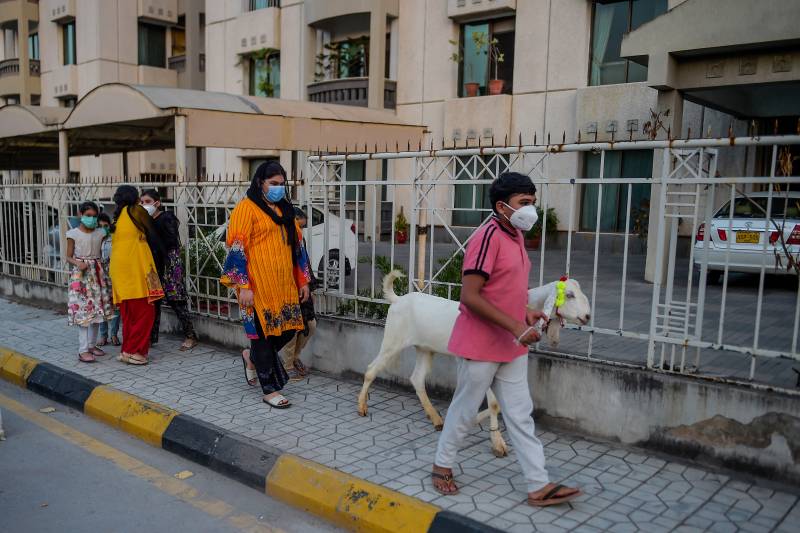 Covid-19 claims 54 more lives in Pakistan