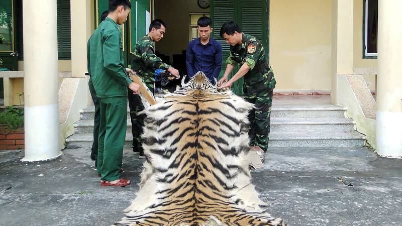 Vietnam suspends wildlife trade as pandemic prods action