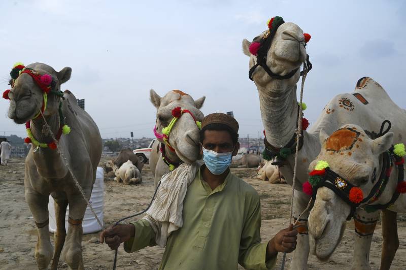 Coronavirus takes a hit in Pakistan as only 24 people died