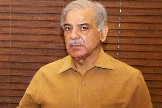 People's mandate stolen in 2018 elections: Shehbaz
