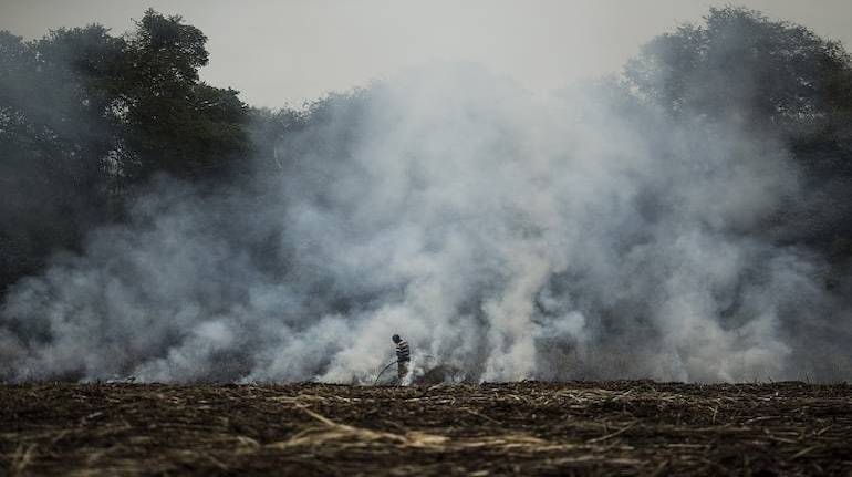 Indian farmers step up illegal fires as Delhi air crisis worsens