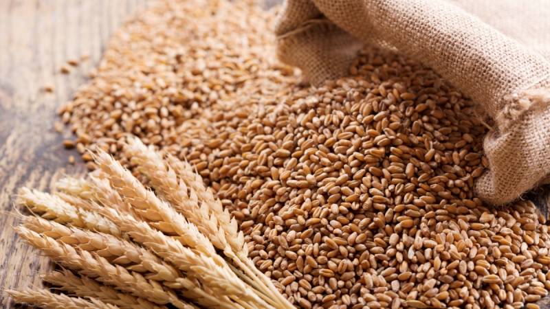 ECC approves Rs200 per 40kg increase in wheat’s support price