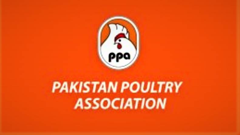 PPA special stalls providing subsidized chicken  