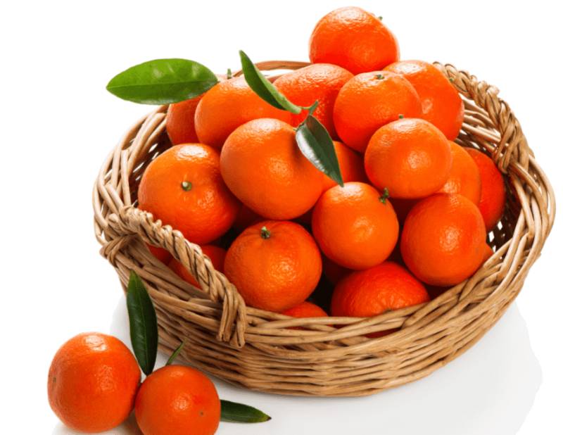 Mango, kinnow export permitted 