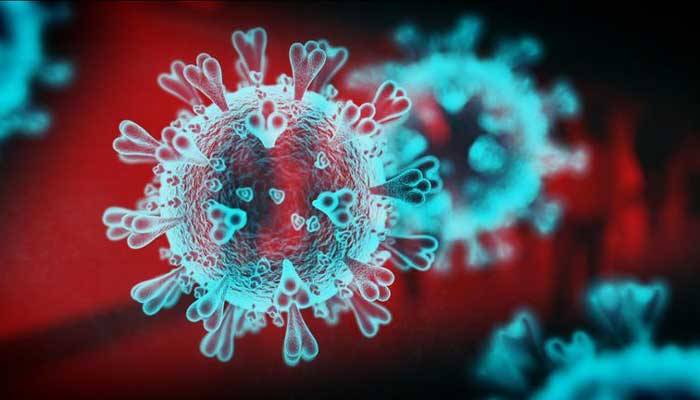 Pakistan coronavirus positivity ratio stands at 6.35 percent