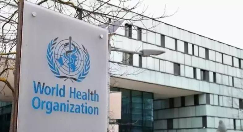 WHO experts want 'more data' from China on possible early Covid cases