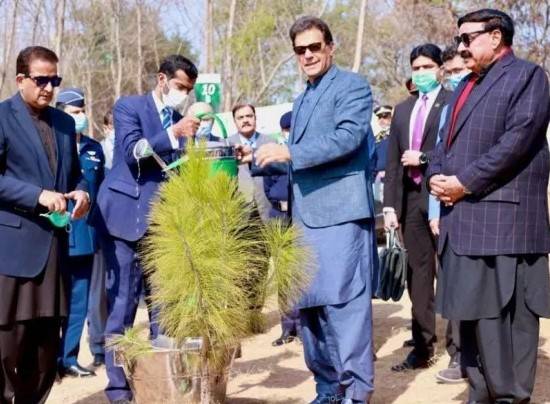 Forestation ‘a lifesaver’ for future generations: Imran