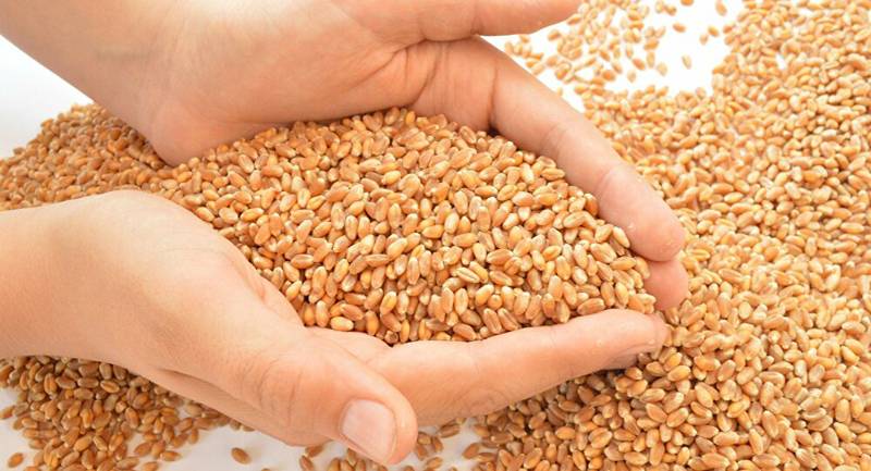 Sindh govt fixes wheat support price at Rs2,000 per 40kg