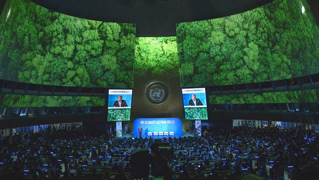 World failing to take green Covid recovery path: UN