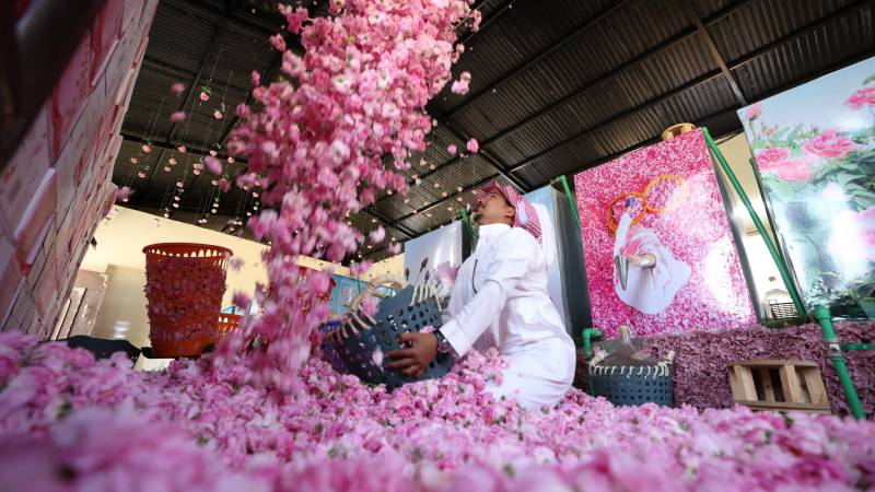 roses blooms in Ramazan