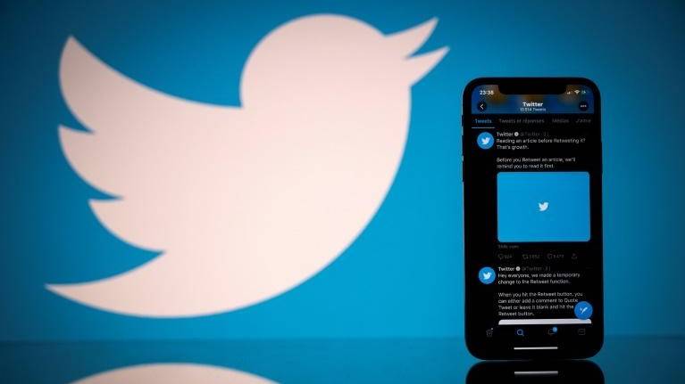 New bug discovery proves mite of Twitter