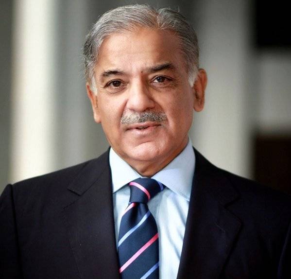 Shehbaz Sharif calls for joint work to save lives in India