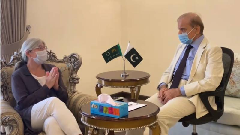 Canadian High Commissioner calls on Shehbaz Sharif
