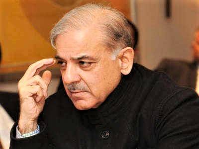 PML-N to propose 'shadow-budget' on June 3