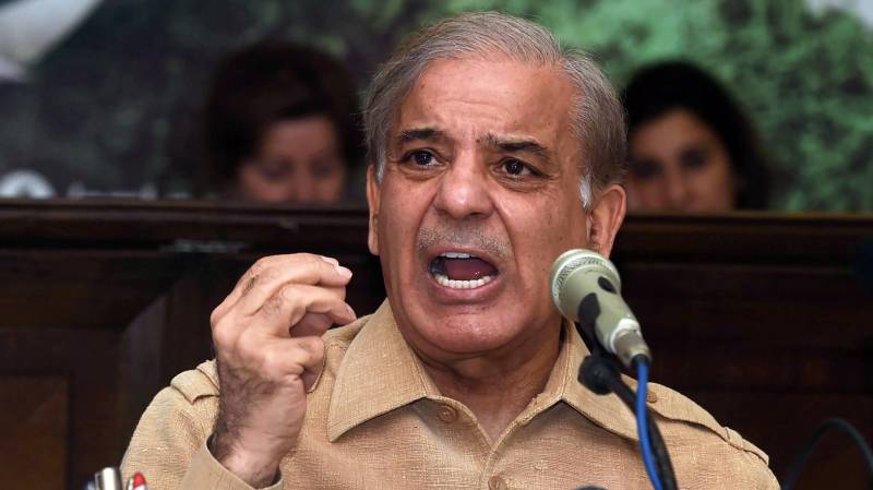 Saved Rs250 billion in power projects, claims Shehbaz Sharif 