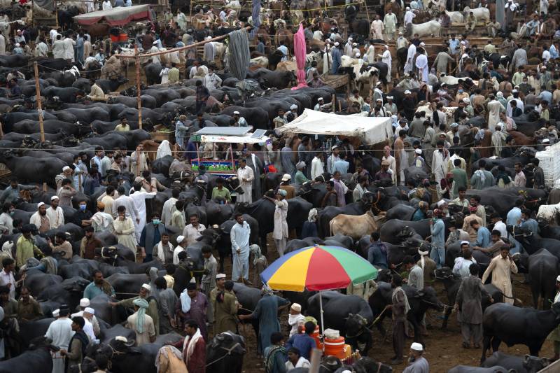 Pakistan records 24 new Covid deaths, 1,980 cases, 4.17% positivity ratio