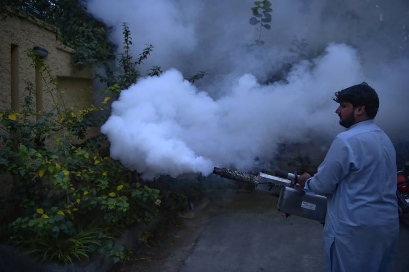 dengue spread