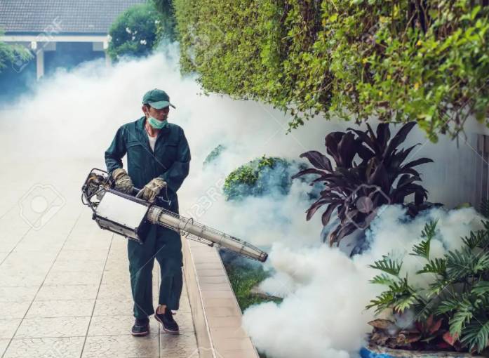 Dengue claims two more lives in Islamabad