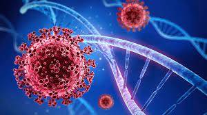First case of dreaded Omicron variant confirmed in Pakistan