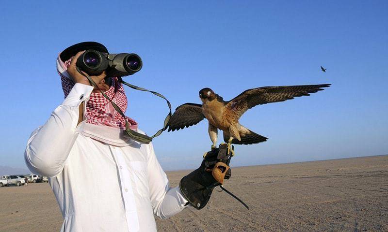 Qatari princes arrive Pakistan for hunting, announce aid for girls school, hospital