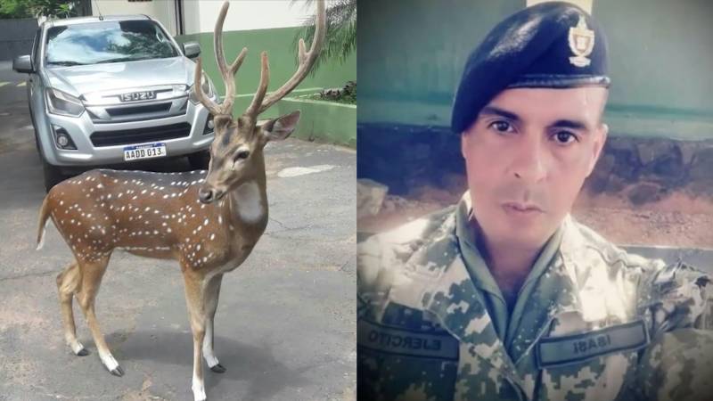 Paraguayan soldier killed by deer in presidential garden