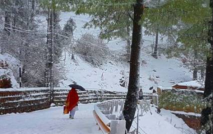 Snowfall restarts, Murree administration announces welcoming all tourists