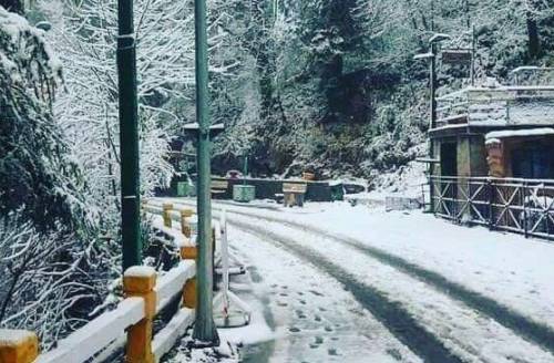 Snowfall restarts, Murree administration announces welcoming all tourists