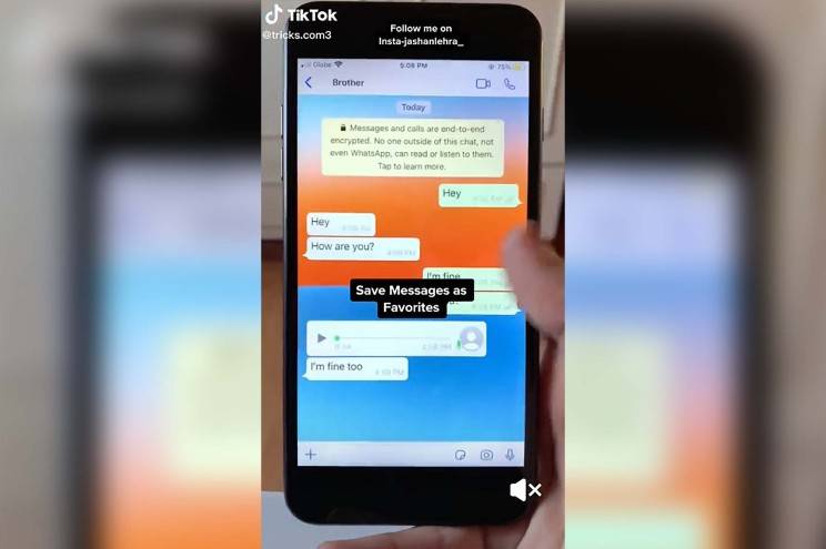Here are some WhatsApp hacks most people don’t know about
