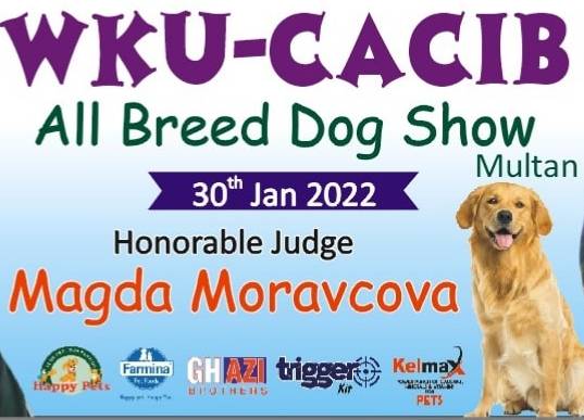 Dog show in Multan
