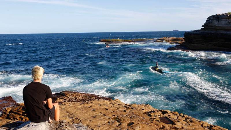 Swimmer's remains found after Sydney shark attack