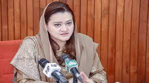 PM tries to save job by reducing petrol, electricity prices: PML-N