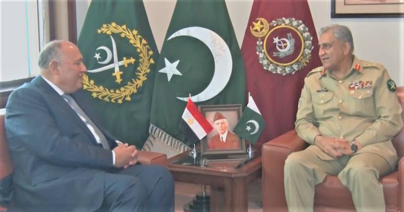 Egyptian FM calls on COAS