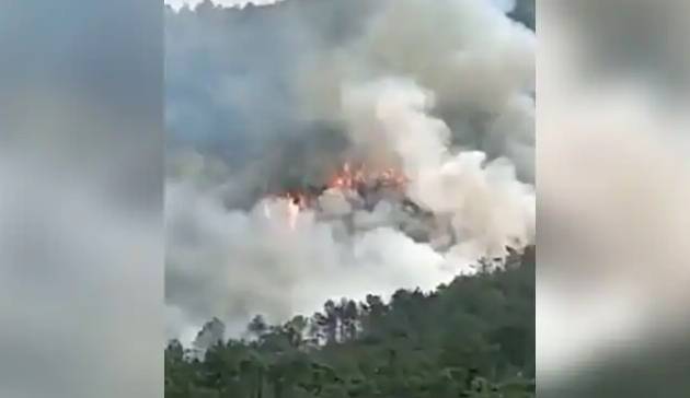 Plane carrying 132 crashes in China, Xi orders probe