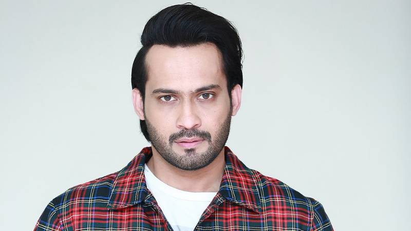 Waqar Zaka backs Imran Khan; wants to address premier’s flaws