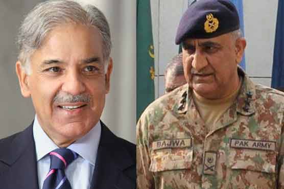 PM Shehbaz says strict action should be taken against army's characterisation