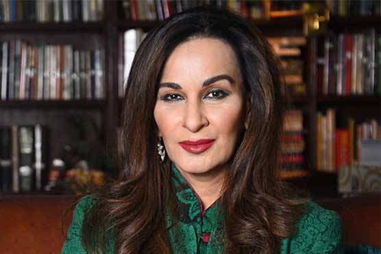 Imran puts foreign policy at stake to save reputation: Sherry Rehman