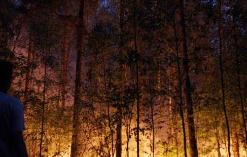 Kahuta forests on fire 