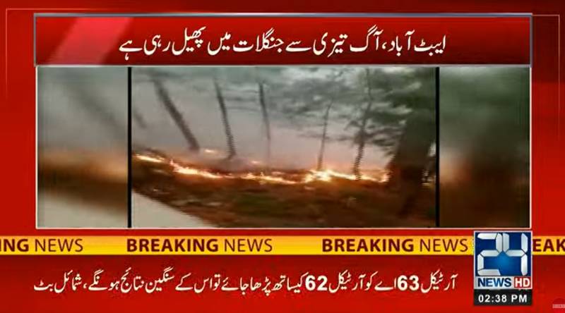 Fire erupts in forests of Abbottabad