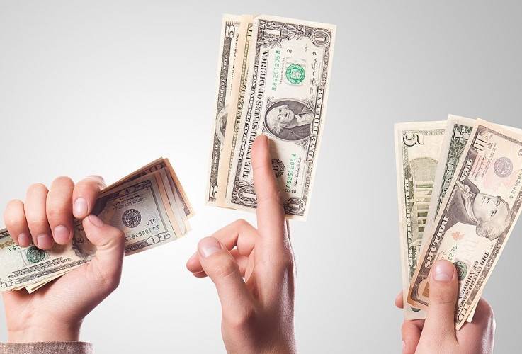 Budget proposes to disallow excessive dollar purchase 