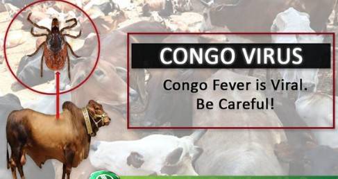 Congo virus threat looms over South Punjab, 3 patients admitted to SZH 