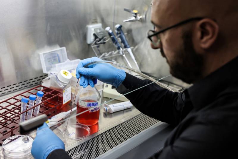 'Synthetic embryo' breakthrough but growing human organs far off