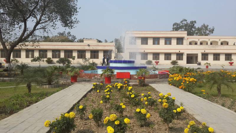 PHED to recruit over 100 principals in public colleges