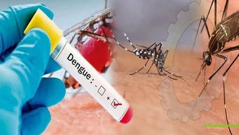 Dengue claims another life in Islamabad