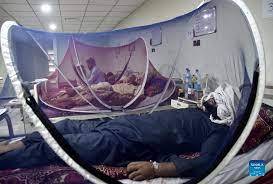 445 dengue cases reported from KP in 24 hours